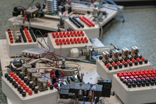 九游官网入口活动-数字化转型：青训系统中的大数据应用，数字化转型_青训系统中的大数据应用有哪些