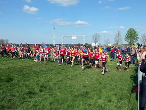 九游官网入口注册-青少年体育活动参与动机分析与提升，青少年体育活动参与动机分析与提升研究