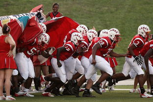 九游娱乐网站-印度继续保持连胜，主帅称尚未满足，印度21人对战数万人